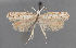  ( - MFNLEP246)  @11 [ ] by-nc (2021) Marko Mutanen University of Oulu