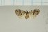  ( - MJP00031)  @11 [ ] CreativeCommons - Attribution Non-Commercial (2018) Marko Mutanen University of Oulu