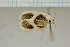  (Garudinia biplagiata - MJP00138)  @11 [ ] CreativeCommons - Attribution Non-Commercial (2019) Marko Mutanen University of Oulu