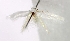  ( - MM16796)  @12 [ ] Unspecified (default): All Rights Reserved  Unspecified Unspecified