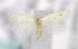  ( - MM16804)  @12 [ ] Unspecified (default): All Rights Reserved  Unspecified Unspecified