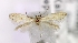  ( - MM16811)  @13 [ ] Unspecified (default): All Rights Reserved  Unspecified Unspecified