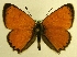  ( - MM17121)  @15 [ ] Unspecified (default): All Rights Reserved  Unspecified Unspecified