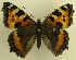  ( - MM17154)  @14 [ ] Unspecified (default): All Rights Reserved  Unspecified Unspecified