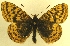  ( - MM17171)  @14 [ ] Unspecified (default): All Rights Reserved  Unspecified Unspecified