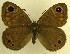  ( - MM17189)  @12 [ ] Unspecified (default): All Rights Reserved  Unspecified Unspecified