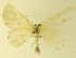  ( - MM17208)  @13 [ ] Unspecified (default): All Rights Reserved  Unspecified Unspecified