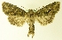  ( - MM17211)  @13 [ ] Unspecified (default): All Rights Reserved  Unspecified Unspecified