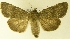  ( - MM17221)  @13 [ ] Unspecified (default): All Rights Reserved  Unspecified Unspecified