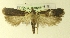  ( - MM17229)  @14 [ ] Unspecified (default): All Rights Reserved  Unspecified Unspecified