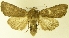  ( - MM17285)  @13 [ ] Unspecified (default): All Rights Reserved  Unspecified Unspecified