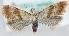  ( - MM23446)  @13 [ ] CreativeCommons - Attribution Non-Commercial (2018) Marko Mutanen University of Oulu