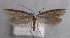  ( - MM23700)  @14 [ ] CreativeCommons - Attribution Non-Commercial (2015) Marko Mutanen University of Oulu