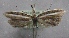  ( - MM23721)  @14 [ ] CreativeCommons - Attribution Non-Commercial (2015) Marko Mutanen University of Oulu