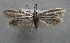  ( - MM23735)  @14 [ ] CreativeCommons - Attribution Non-Commercial (2015) Marko Mutanen University of Oulu