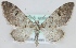  ( - MM23912)  @14 [ ] CreativeCommons - Attribution Non-Commercial (2018) Marko Mutanen University of Oulu