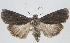  ( - MM23968)  @13 [ ] CreativeCommons - Attribution Non-Commercial (2015) Marko Mutanen University of Oulu