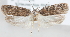  ( - MM23983)  @13 [ ] CreativeCommons - Attribution Non-Commercial (2015) Marko Mutanen University of Oulu