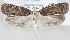  ( - MM23984)  @14 [ ] CreativeCommons - Attribution Non-Commercial (2015) Marko Mutanen University of Oulu