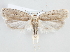  ( - MM24149)  @12 [ ] CreativeCommons - Attribution Non-Commercial (2015) Marko Mutanen University of Oulu