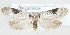  ( - MM24153)  @14 [ ] CreativeCommons - Attribution Non-Commercial (2015) Marko Mutanen University of Oulu