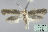  ( - MM24438)  @14 [ ] CreativeCommons - Attribution Non-Commercial (2015) Marko Mutanen University of Oulu