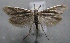  ( - MM24593)  @14 [ ] CreativeCommons - Attribution Non-Commercial (2015) Marko Mutanen University of Oulu