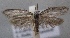  ( - MM24605)  @14 [ ] CreativeCommons - Attribution Non-Commercial (2016) Marko Mutanen University of Oulu