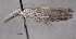  ( - MM24621)  @11 [ ] CreativeCommons - Attribution Non-Commercial (2016) Marko Mutanen University of Oulu