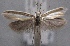  ( - MM24651)  @11 [ ] CreativeCommons - Attribution Non-Commercial (2016) Marko Mutanen University of Oulu