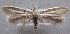  ( - MM24676)  @11 [ ] CreativeCommons - Attribution Non-Commercial (2016) Marko Mutanen University of Oulu