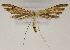  ( - MM24696)  @11 [ ] CreativeCommons - Attribution Non-Commercial (2016) Marko Mutanen University of Oulu