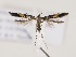  ( - MM24707)  @11 [ ] CreativeCommons - Attribution Non-Commercial (2018) Marko Mutanen University of Oulu
