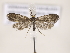  ( - MM24709)  @11 [ ] CreativeCommons - Attribution Non-Commercial (2018) Marko Mutanen University of Oulu