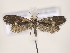  ( - MM24710)  @11 [ ] CreativeCommons - Attribution Non-Commercial (2018) Marko Mutanen University of Oulu