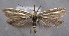  ( - MM24810)  @11 [ ] CreativeCommons - Attribution Non-Commercial (2016) Marko Mutanen University of Oulu