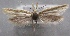  ( - MM24874)  @11 [ ] CreativeCommons - Attribution Non-Commercial (2016) Marko Mutanen University of Oulu