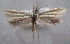  ( - MM24903)  @11 [ ] CreativeCommons - Attribution Non-Commercial (2016) Marko Mutanen University of Oulu
