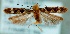 ( - MM25278)  @12 [ ] CreativeCommons - Attribution Non-Commercial (2016) Marko Mutanen University of Oulu