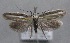  ( - MM25562)  @11 [ ] CreativeCommons - Attribution Non-Commercial (2017) Marko Mutanen University of Oulu