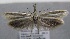  ( - MM25574)  @11 [ ] CreativeCommons - Attribution Non-Commercial (2017) Marko Mutanen University of Oulu