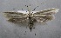  ( - MM25576)  @11 [ ] CreativeCommons - Attribution Non-Commercial (2017) Marko Mutanen University of Oulu