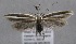  ( - MM25580)  @14 [ ] CreativeCommons - Attribution Non-Commercial (2017) Marko Mutanen University of Oulu