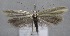  ( - MM25583)  @11 [ ] CreativeCommons - Attribution Non-Commercial (2017) Marko Mutanen University of Oulu