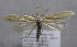  ( - MM25584)  @11 [ ] CreativeCommons - Attribution Non-Commercial (2017) Marko Mutanen University of Oulu