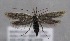  ( - MM25587)  @11 [ ] CreativeCommons - Attribution Non-Commercial (2017) Marko Mutanen University of Oulu