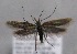  ( - MM25589)  @11 [ ] CreativeCommons - Attribution Non-Commercial (2017) Marko Mutanen University of Oulu