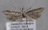  ( - MM25599)  @14 [ ] CreativeCommons - Attribution Non-Commercial (2017) Marko Mutanen University of Oulu