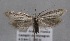  ( - MM25600)  @14 [ ] CreativeCommons - Attribution Non-Commercial (2017) Marko Mutanen University of Oulu