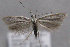  ( - MM25603)  @14 [ ] CreativeCommons - Attribution Non-Commercial (2017) Marko Mutanen University of Oulu